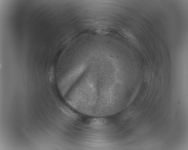 X0000068720077200605121503