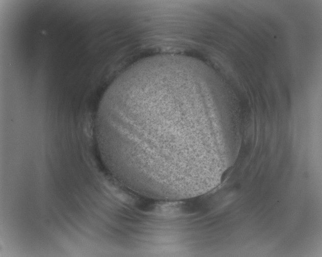 X0000068720078200605121503