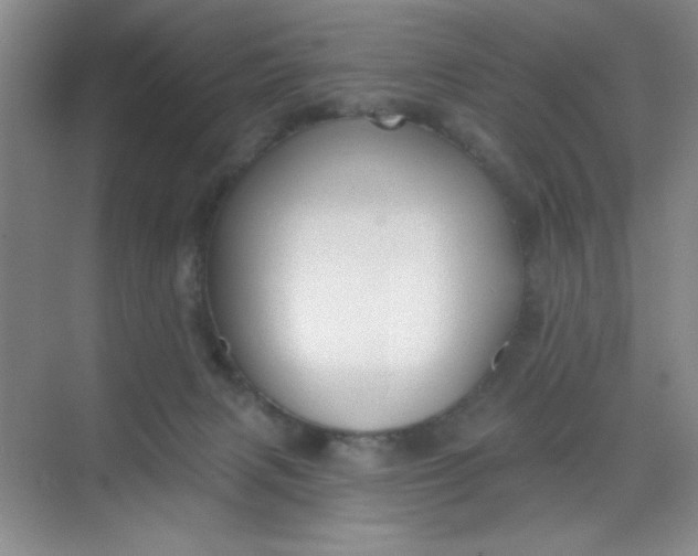 X0000068720079200605121503