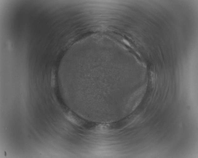 X0000068720080200605121503