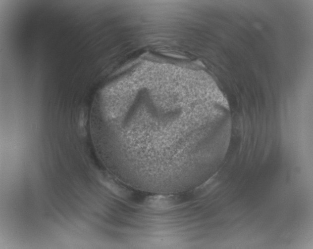 X0000068720082200605121503