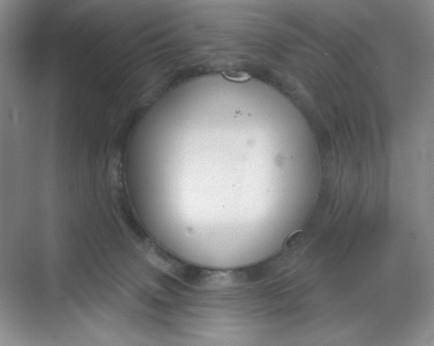 X0000068720083200605121503