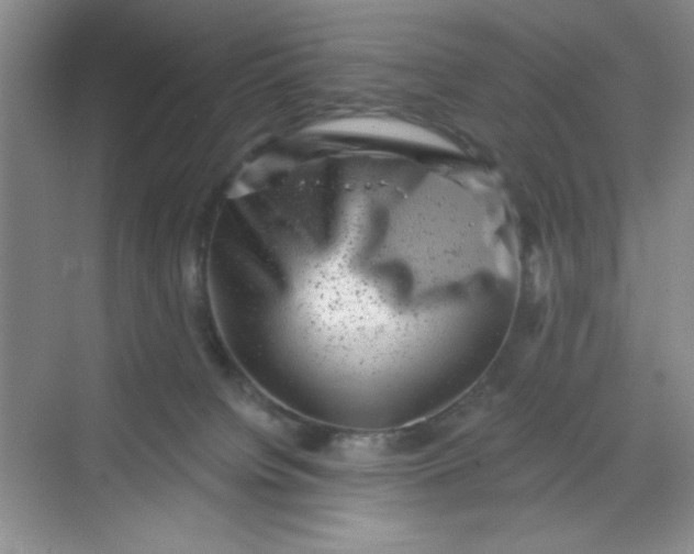 X0000068720084200605121503