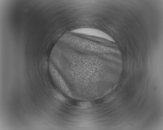 X0000068720085200605121503