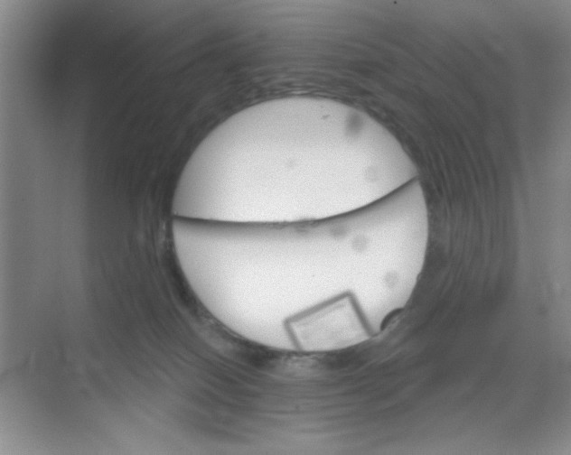 X0000068720086200605121503