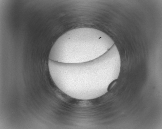 X0000068720087200605121503