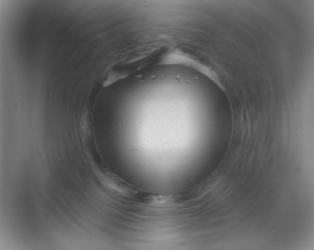 X0000068720088200605121503