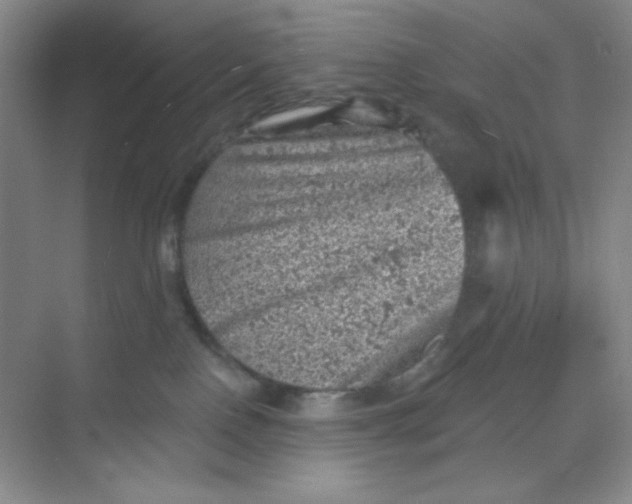 X0000068720090200605121503