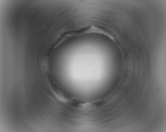 X0000068720092200605121503