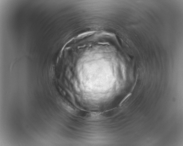 X0000068720093200605121503