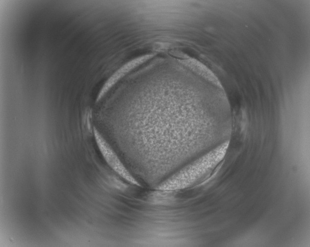 X0000068720094200605121503