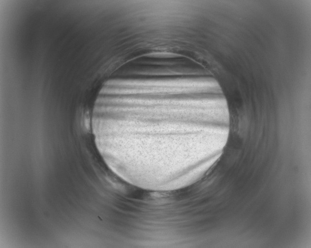 X0000068720095200605121503