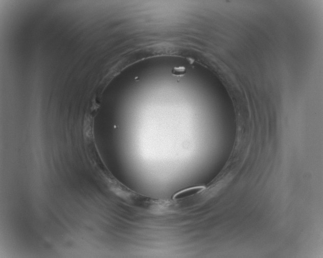 X0000068720096200605121503