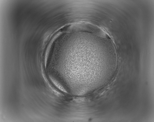 X0000068720097200605121502