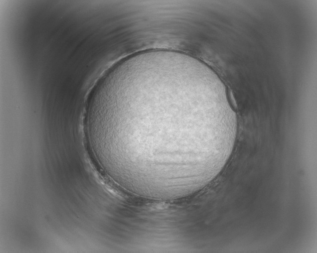 X0000068720098200605121502