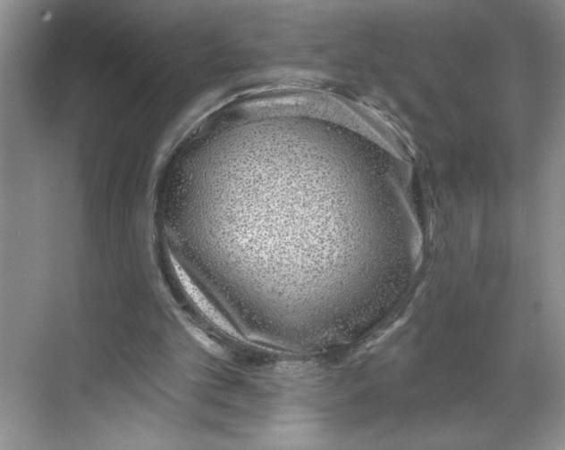 X0000068720101200605121502