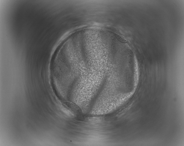 X0000068720102200605121502