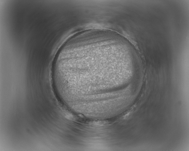 X0000068720103200605121502