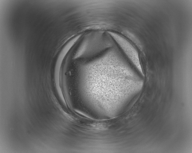 X0000068720105200605121502