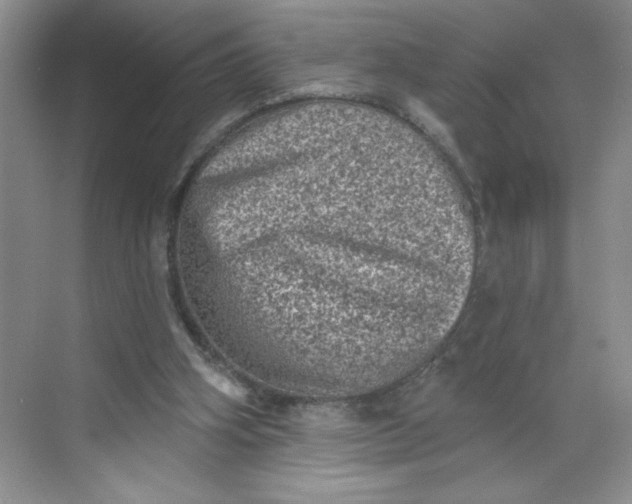 X0000068720106200605121502