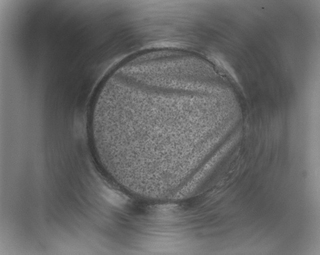 X0000068720108200605121502