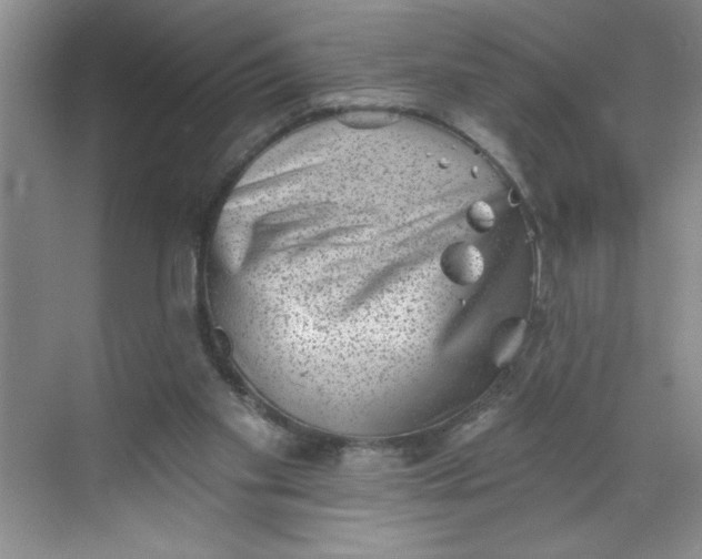 X0000068720109200605121502