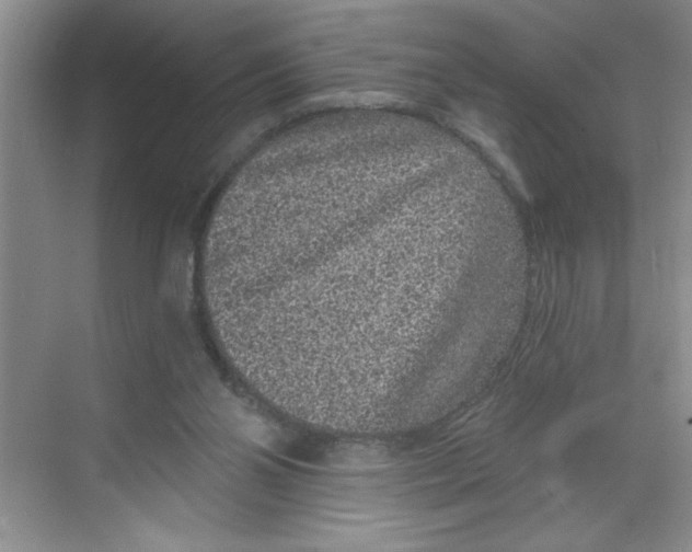 X0000068720110200605121502