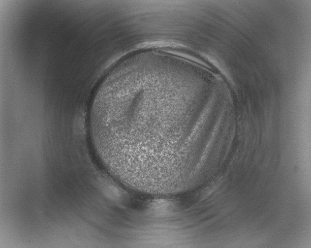 X0000068720111200605121502