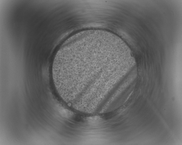 X0000068720112200605121502