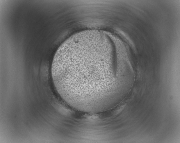 X0000068720113200605121502