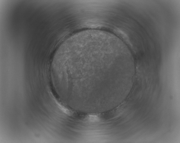 X0000068720114200605121502