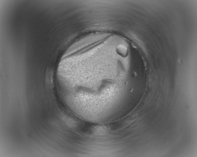 X0000068720115200605121502