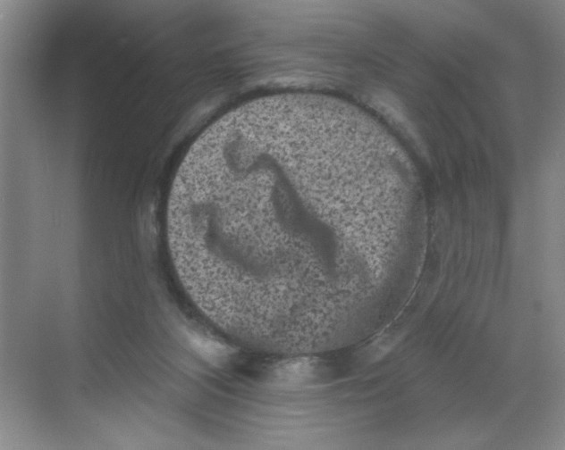 X0000068720116200605121502