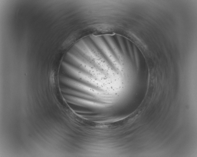 X0000068720117200605121502