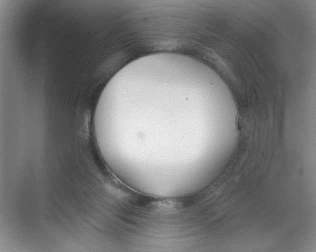 X0000068720118200605121502