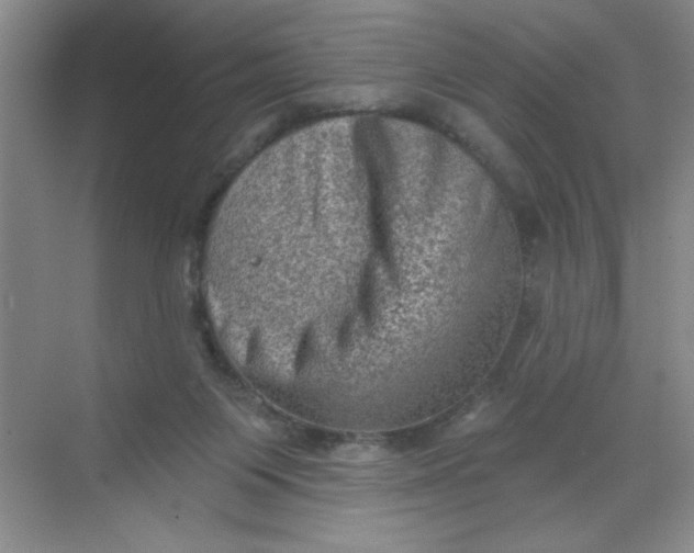 X0000068720119200605121502