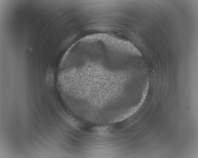 X0000068720120200605121502