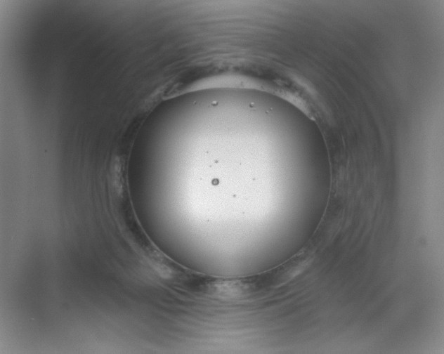 X0000068720121200605121502