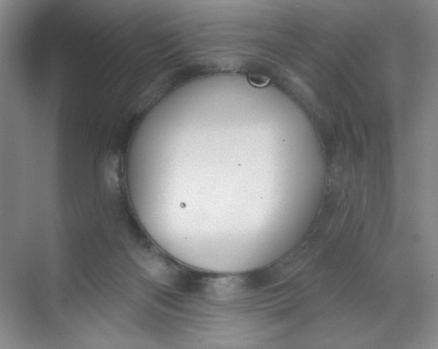 X0000068720122200605121502