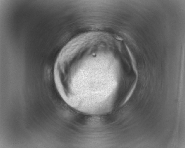 X0000068720123200605121502