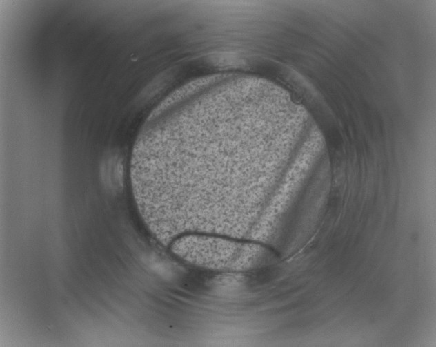 X0000068720124200605121502