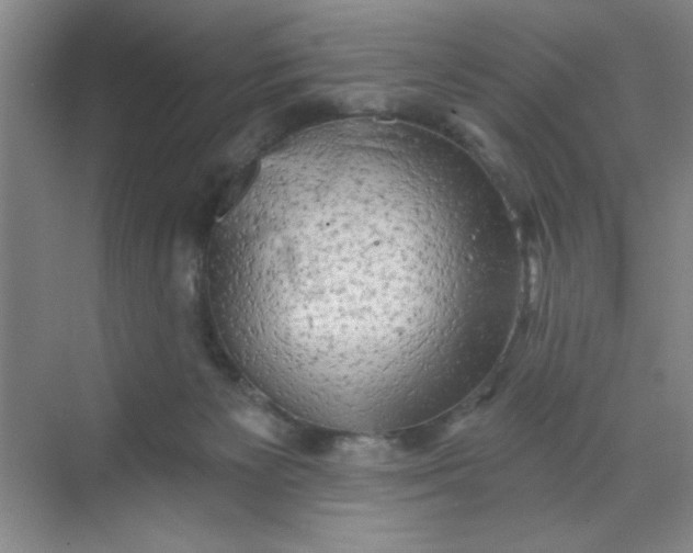 X0000068720125200605121502