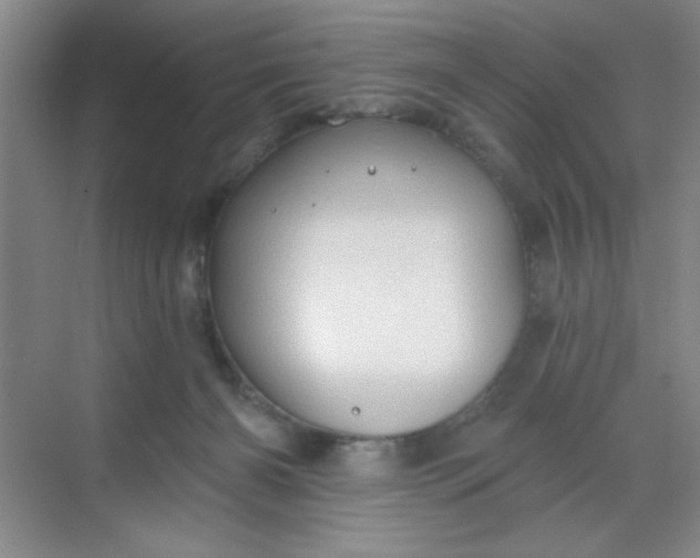 X0000068720126200605121502