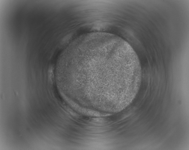 X0000068720127200605121502