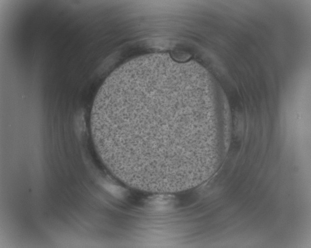 X0000068720128200605121502