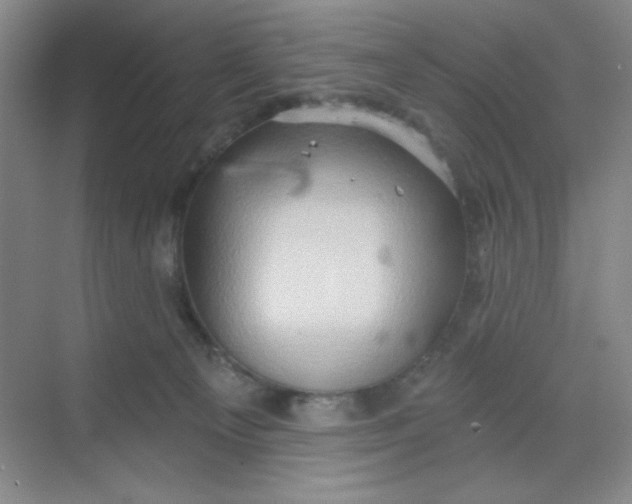 X0000068720129200605121502