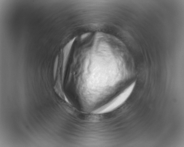 X0000068720131200605121502