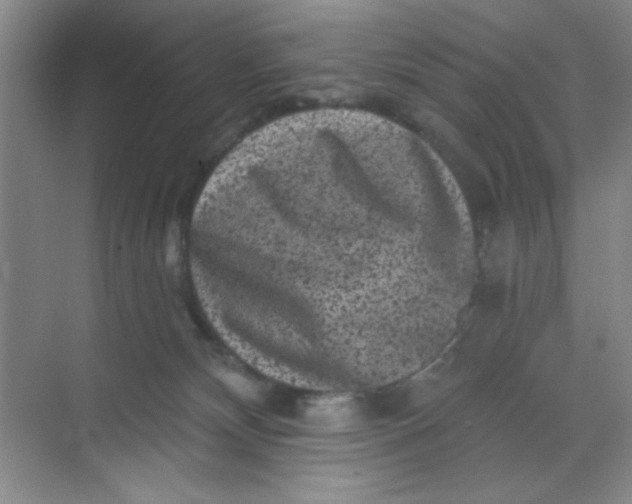 X0000068720132200605121502