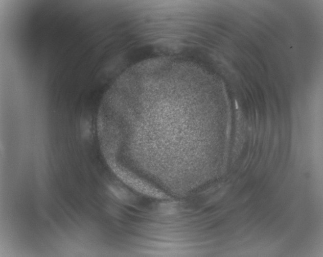 X0000068720134200605121502