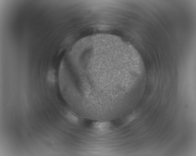 X0000068720135200605121502